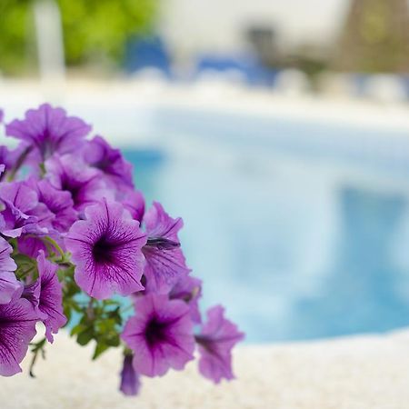 La Crisalida Retreats Lejlighed El Albir Eksteriør billede