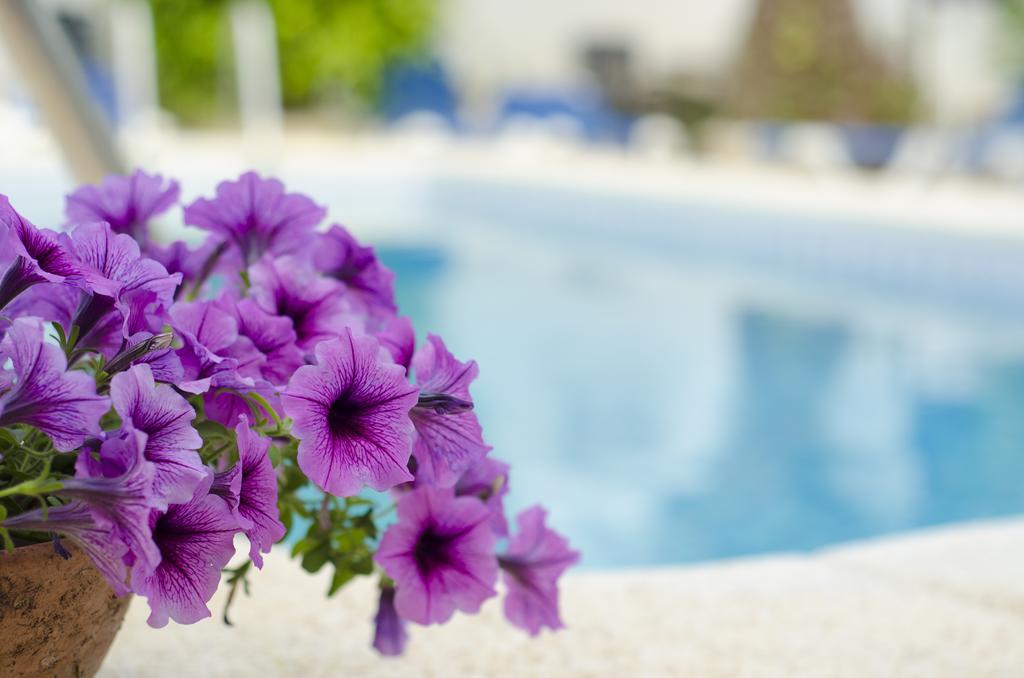 La Crisalida Retreats Lejlighed El Albir Eksteriør billede